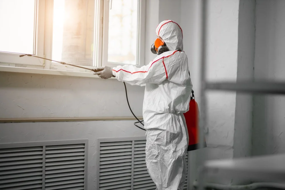 Professional mold remediation services in Kerrville, TX
